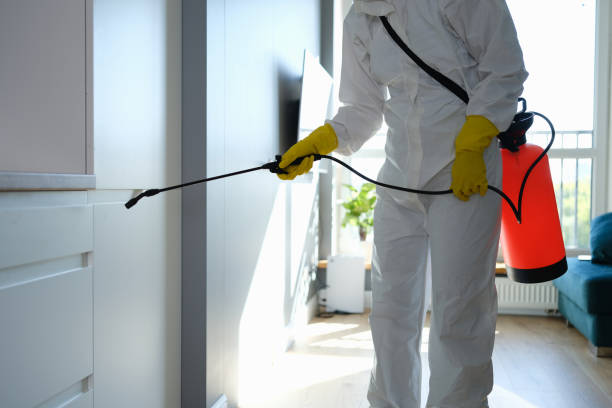  Rockdale, IL Mold Removal Pros